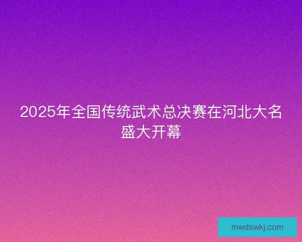 2025年全国传统武术总决赛在河北大名盛大开幕